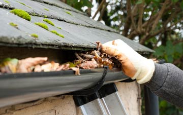 gutter cleaning Dylife, Powys