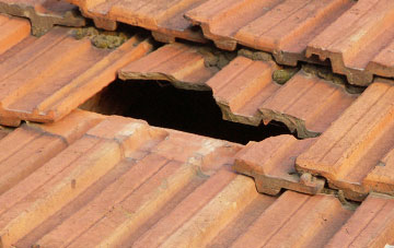 roof repair Dylife, Powys