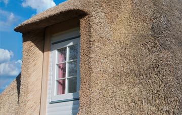 Dylife thatch roof disadvantages