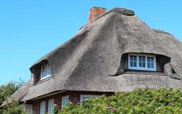 thatch roofing Dylife, Powys